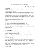 XUẤT HUYẾT GIẢM TIỂU cầu MIỄN DỊCH và hội CHỨNG TAN máu 