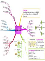 Đột biến lệch bội 