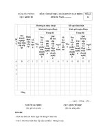 Mẫu báo cáo kết quả giải quyết lao động dôi dư