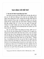 Giáo dục mầm non  Những vấn đề lý luận và thực tiễn: Phần 2