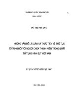 Những vấn đề lý luận và thực tiễn về thủ tục tố tụng đối với người chưa thành niên trong luật tố tụng hình sự việt nam 