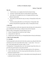 CƯỜNG vỏ THƯỢNG THẬN và SUY THÙY TRƯỚC TUYẾN yên 