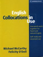 English collocations in use