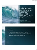 Nhận diện bất cập trong chế tài xử lý vi phạm môi trường ở việt nam