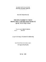 Thương nghiệp tư nhân việt nam trong bối cảnh hội nhập kinh tế quốc tế 