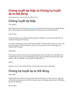 Chứng huyết áp thấp và chứng hạ huyết áp tư thế đứng 