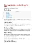 Tăng huyết áp động mạch phổi nguyên phát 