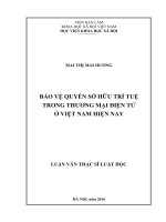 Bảo vệ quyền sở hữu trí tuệ trong thương mại điện tử ở Việt Nam hiện nay