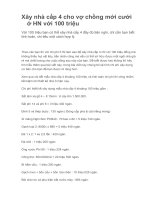 Xây nhà cấp 4 cho vợ chồng mới cưới ở HN với 100 triệu