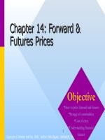 Corporate finance chapter 014 forward and futures prices 