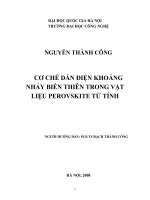 Cơ chế dẫn điện khoảng nhảy biến thiên trong vật liệu perovskite từ tính 