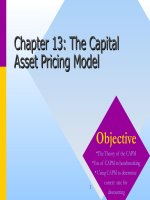 Corporate finance chapter 013 the capital asset pricing model 