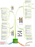 Đột biến cấu trúc NST 