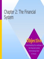 Corporate finance chapter 02 the financial system 