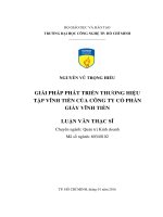 Giải pháp phát triển thương hiệu tập vĩnh tiến của công ty cổ phần giấy vĩnh tiến 