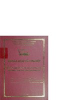 Chiến lược kinh doanh hiệu ứng mạng và bài học kinh nghiệm cho các doanh nghiệp việt nam 