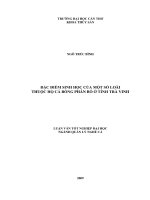 Đặc điểm sinh học của một số loài thuộc họ cá bống phân bố ở tỉnh trà vinh 