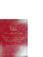 Những thuận lợi và khó khăn khi thâm nhập thị trường hoa kỳ của các doanh nghiệp xuất khẩu hàng dệt may việt nam 