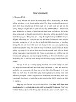 Xây dựng chiến lược kinh doanh của công ty cổ phần đầu tưu phát triển hạ tầng IDICO đến năm 2020 