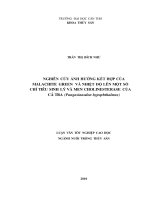 Nghiên cứu ảnh hưởng kết hợp của malachite green và nhiệt độ lên một số chỉ tiêu sinh lý và men cholinesterase của cá tra (pangasianodon hypophthalmus) 