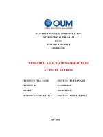 Research about job satisfaction at pvoil sai gon 