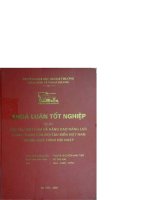 Đội tàu việt nam và nâng cao năng lực cạnh tranh của đội tàu biển việt nam trong quá trình hội nhập 