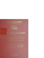 Cải cách thuế giai đoạn 2005   2010 và tác động của nó đến sự phát triển của khu vực dịch vụ tại việt nam 