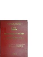 Rủi ro và quản trị rủi ro trong hoạt động xuất nhập khẩu của việt nam 