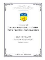 Ứng dụng gom cụm FUZZY c MEANS trong phân tích dữ liệu marketing 