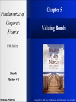 Fundamentals of corporate finance 5e mcgraw chapter 05 