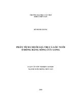 Phân tích chuỗi giá trị cá lóc nuôi ở đồng bằng sông cửu long 