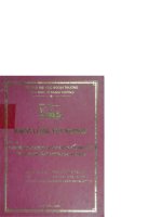 Thực trạng và giải pháp hạn chế rủi ro tín dụng tại các ngân hàng thương mại việt nam 