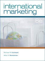 International marketing 8th edition czinkota and ilkka