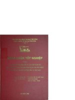 So sánh môi trường đầu tư của việt nam với một số nước châu á và giải pháp nâng cao khả năng cạnh tranh của môi trường đầu tư việt nam 