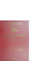 Các giải pháp phát triển dịch vụ hàng hải ở việt nam 