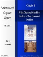 Fundamentals of corporate finance 5e mcgraw chapter 08 