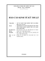 Báo cáo kinh tế kỹ thuật Xử lý chất thải bệnh viện Đa khoa khu vực Cai Lậy