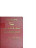 Một số vấn đề pháp lý về cổ phần hoá doanh nghiệp nhà nước tại việt nam 