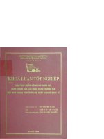 Giải pháp nhằm nâng cao năng lực cạnh tranh của các ngân hàng thương mại việt nam trong tiến trình hội nhập kinh tế quốc tế 