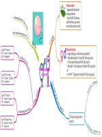 Phát sinh giao tử và thụ tinh