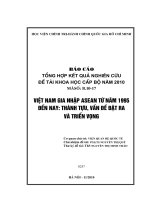 Việt nam gia nhập asean từ năm 1995 đến nay thành tựu , vấn đề đặt ra và triển vọng 