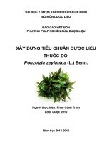 Xây dựng tiêu chuẩn dược liệu thuốc dòi   bọ mắm   pouzolzia zeylanica