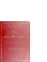 Hoàn thiện và phát triển dịch vụ ngân hàng quốc tế ở ngân hàng đầu tư và phát triển việt nam 