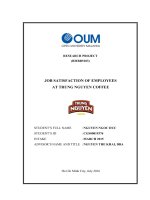 Job satisfaction of employees at trung nguyen coffee 