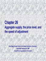 Marcro  micro econmiy david begg chapter 026