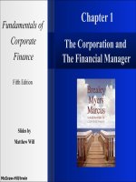 Fundamentals of corporate finance 5e mcgraw chapter 01 