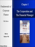 Fundamentals of corporate finance 5e mcgraw chapter 01 
