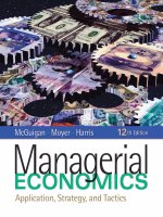 Managerial economics applications,strategy,and tactics 12 ed