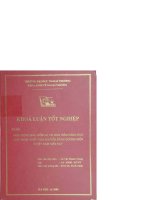 Hoạt động bảo hiểm và tái bảo hiểm hàng hóa xuất nhập khẩu vận chuyển đường biển ở việt nam hiện nay 