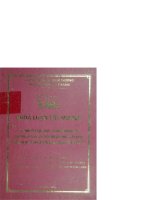 Lý thuyết trò chơi   kinh nghiệm và giải pháp cho các doanh nghiệp việt nam trong quá trình hội nhập kinh tế quốc tế 